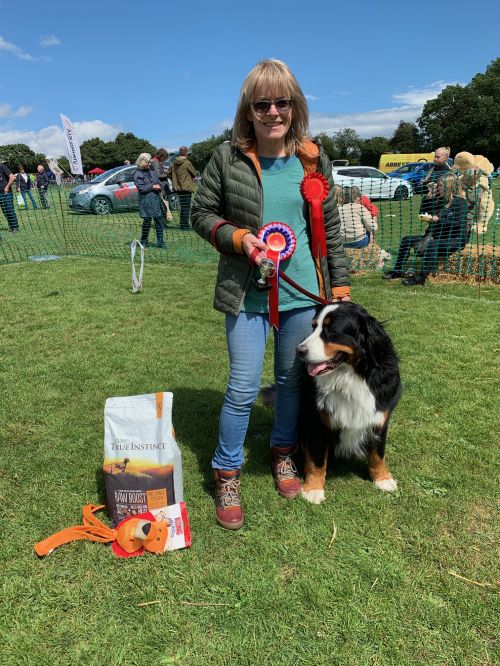 Dog Show Best of breed winner 2019
